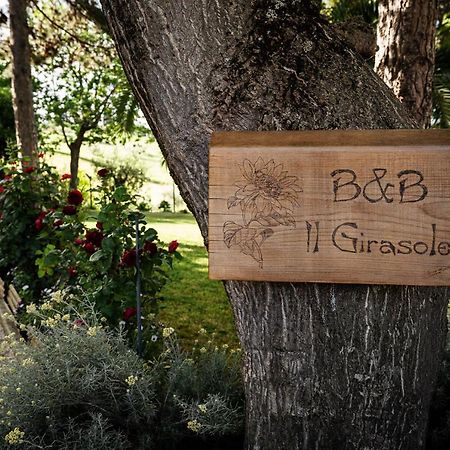 Il Girasole Bed & Breakfast Basciano Exterior photo