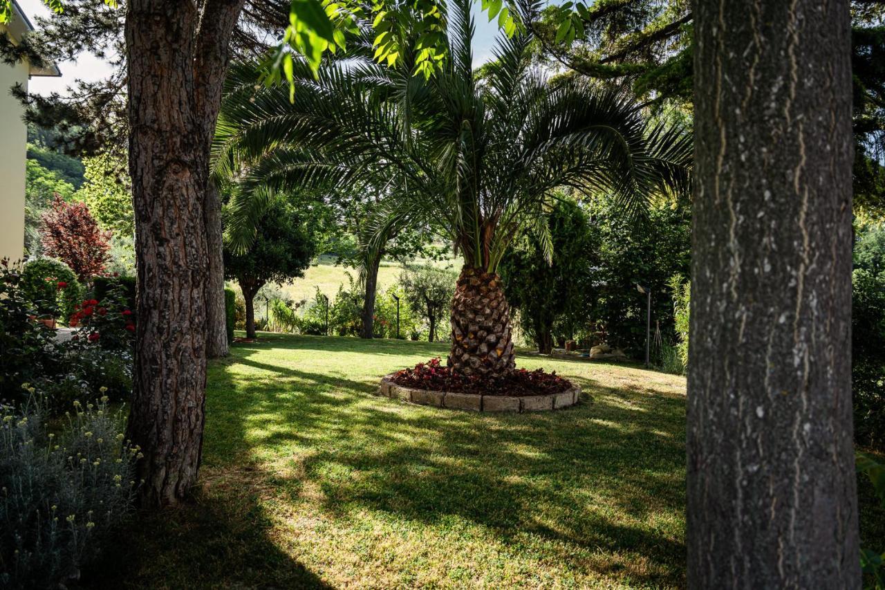 Il Girasole Bed & Breakfast Basciano Exterior photo